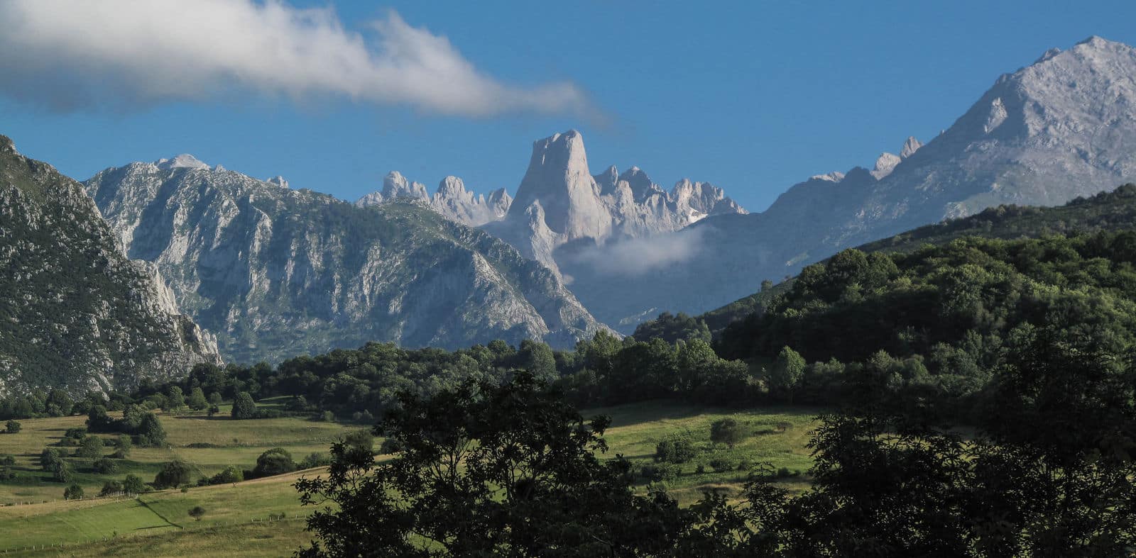 Naranjo de Bulnes, Pico Urriellu