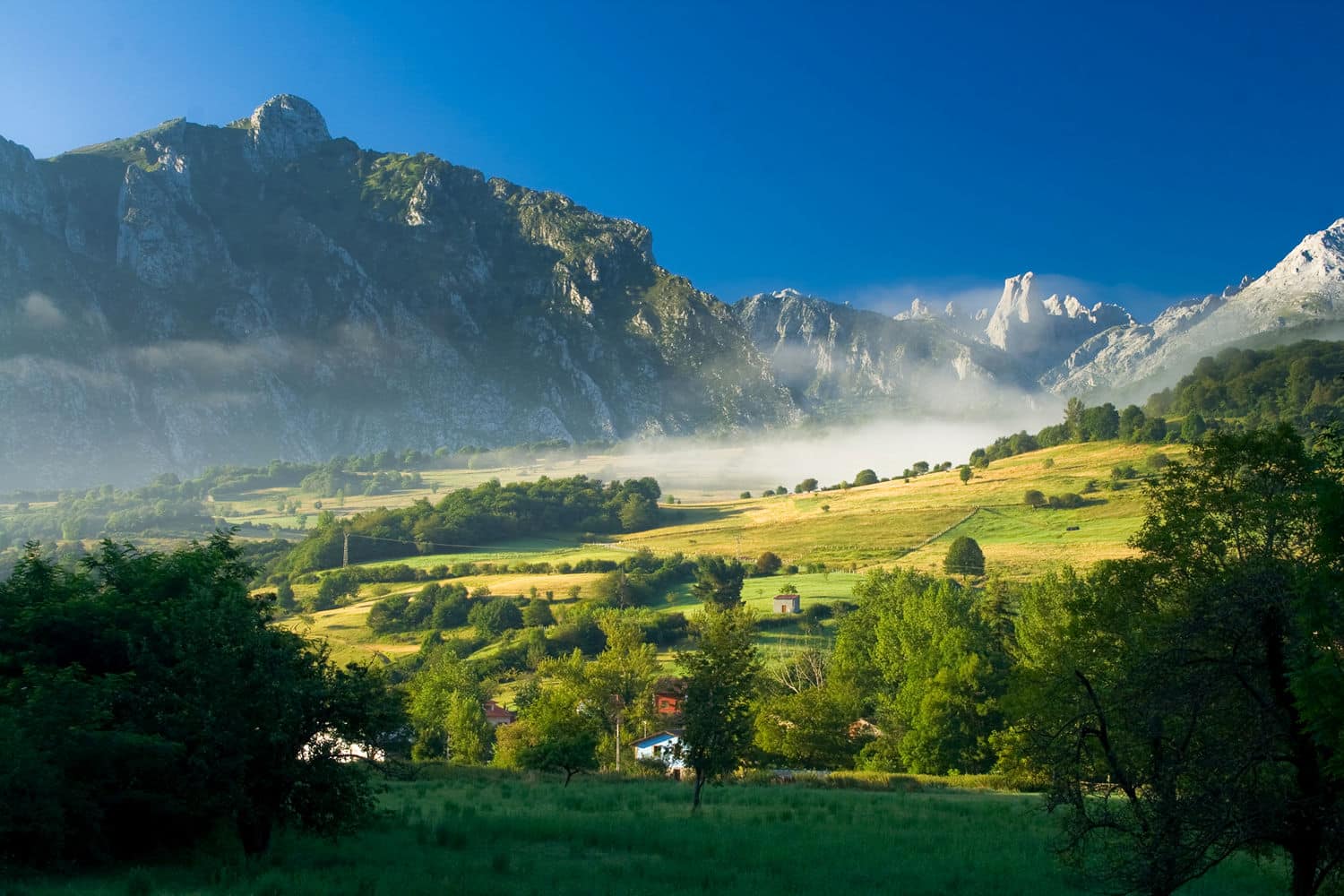Naranjo de Bulnes, Pico Urriellu
