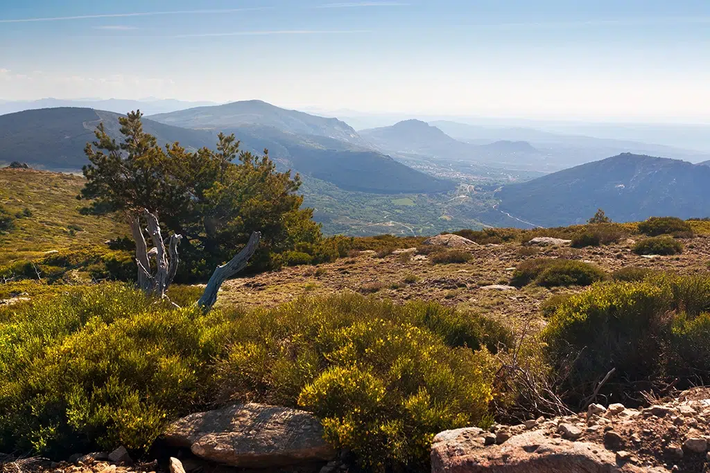 Subida al Pico de la Miel en La Cabrera