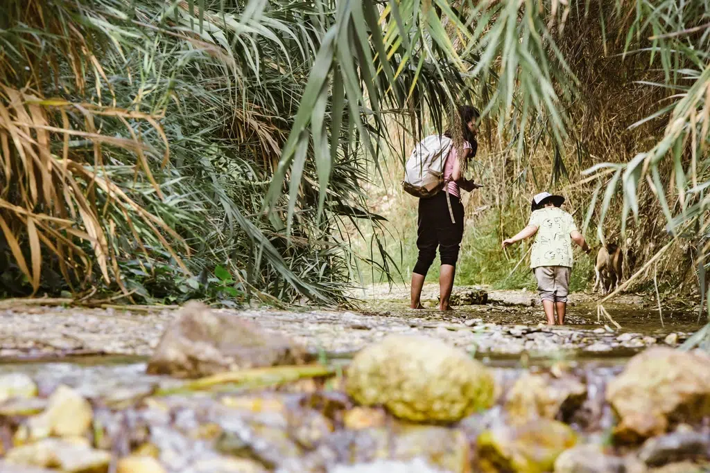 Las rutas de verano preferidas por los senderistas según un estudio de EscapadaRural: recorridos cortos que acaban en chapuzón