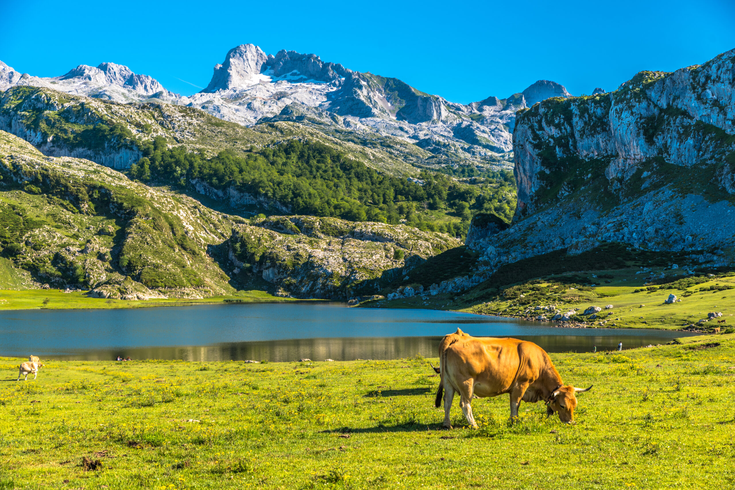 Lagos de Covadonga, Asturias. Por pacoparra