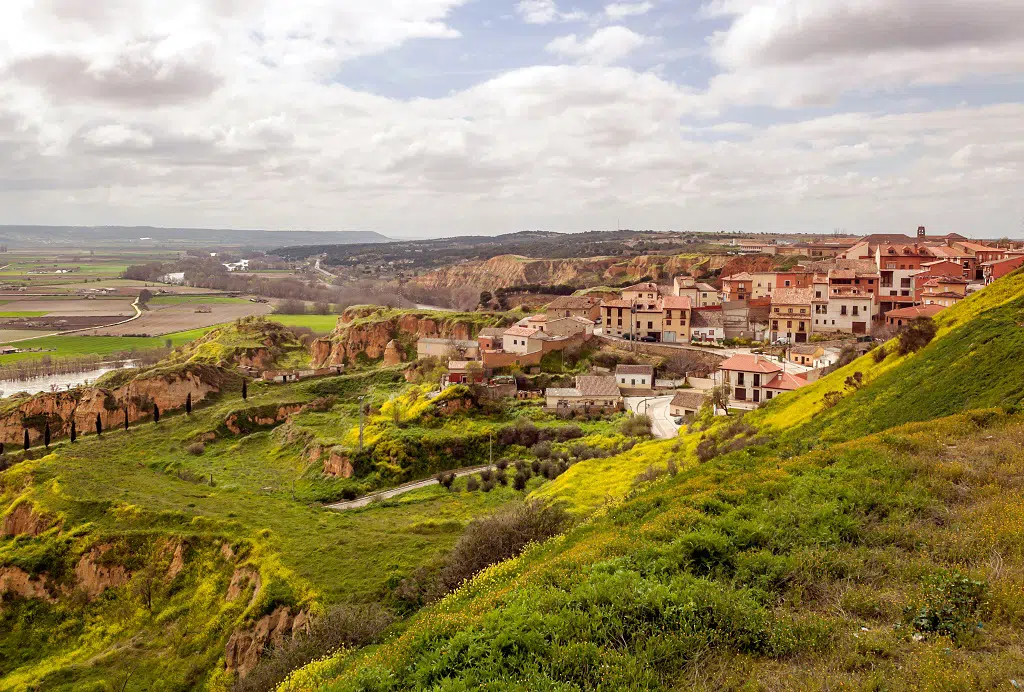 Toro, Zamora