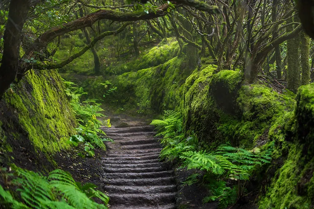 Montañas de Anaga, Tenerife. Por cegli