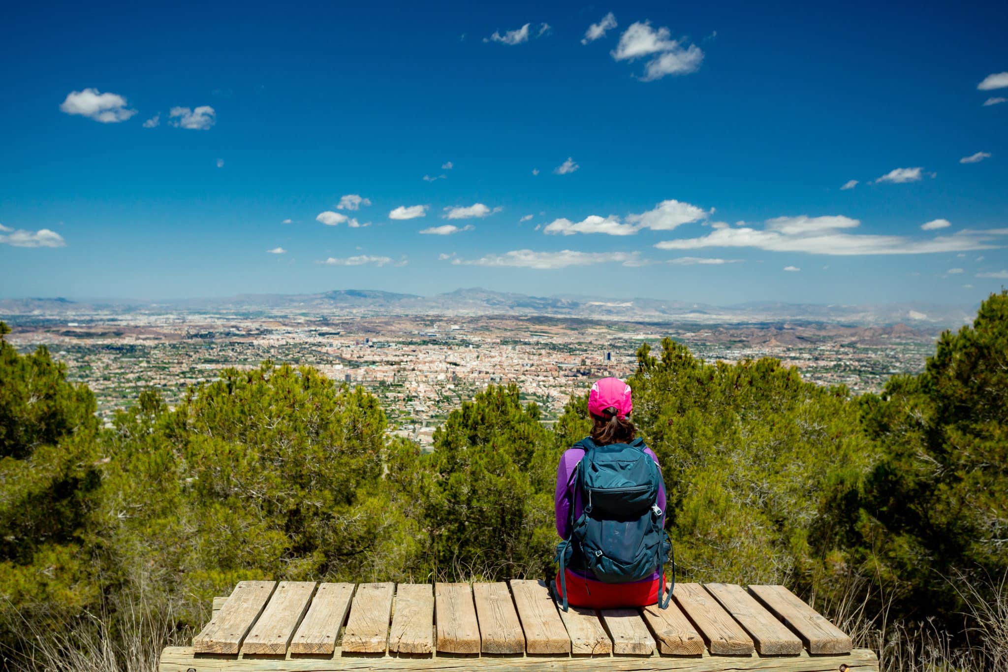 Las tres rutas del vino de la Región de Murcia
