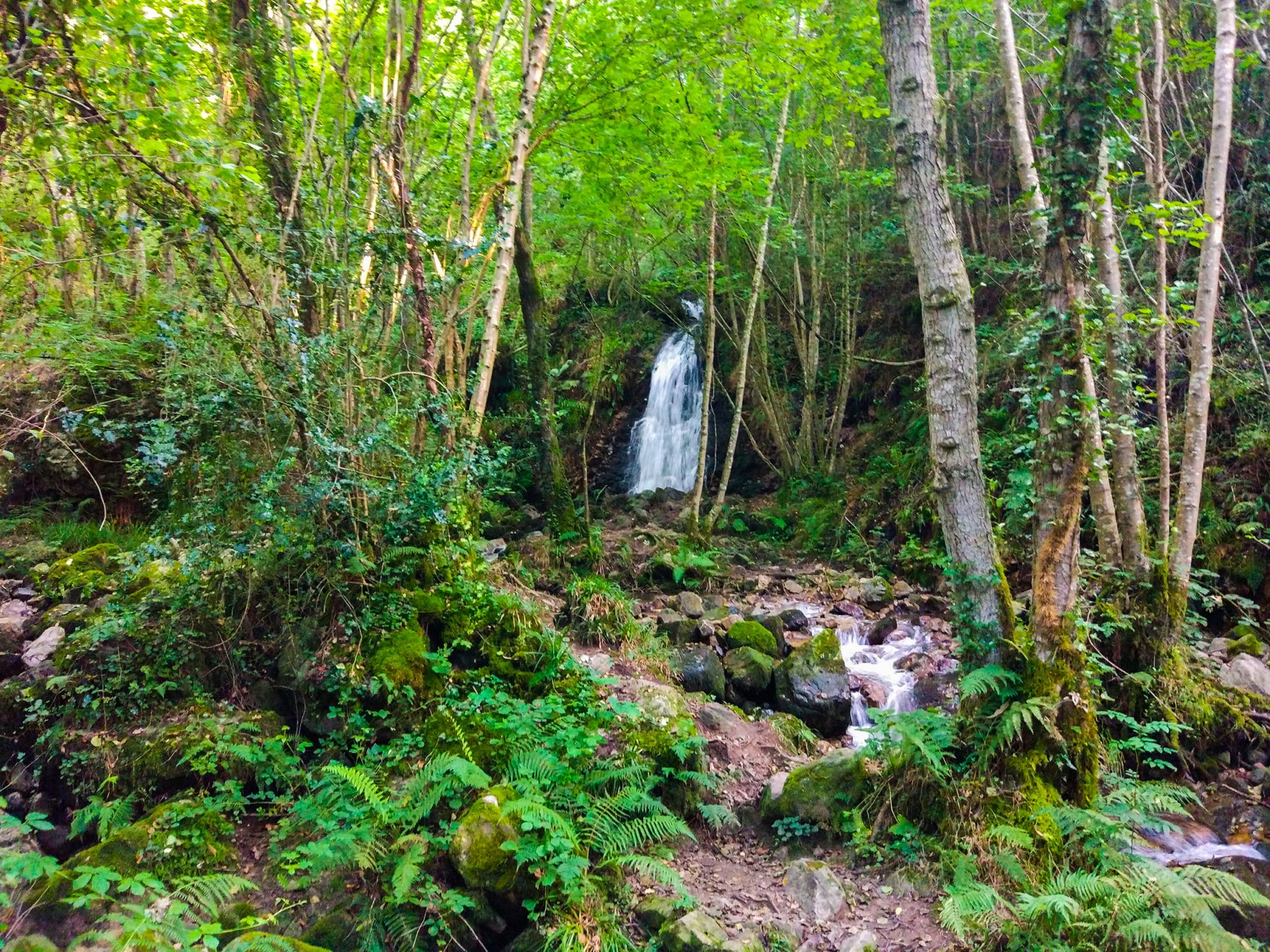 Cascada de Nonaya, Asturias. Por Jesus Barroso