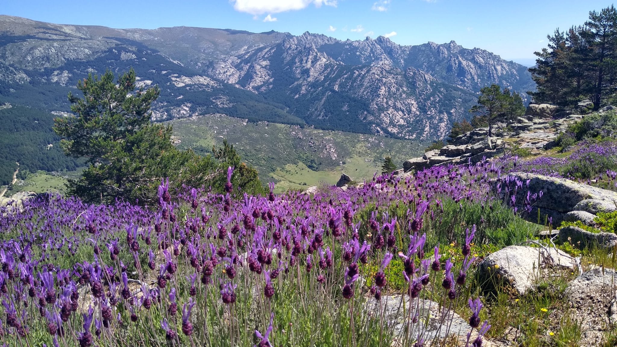 Guía de primavera en Madrid: La Pedriza