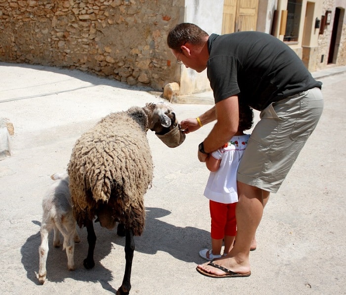 Granja Mediterránea Rural