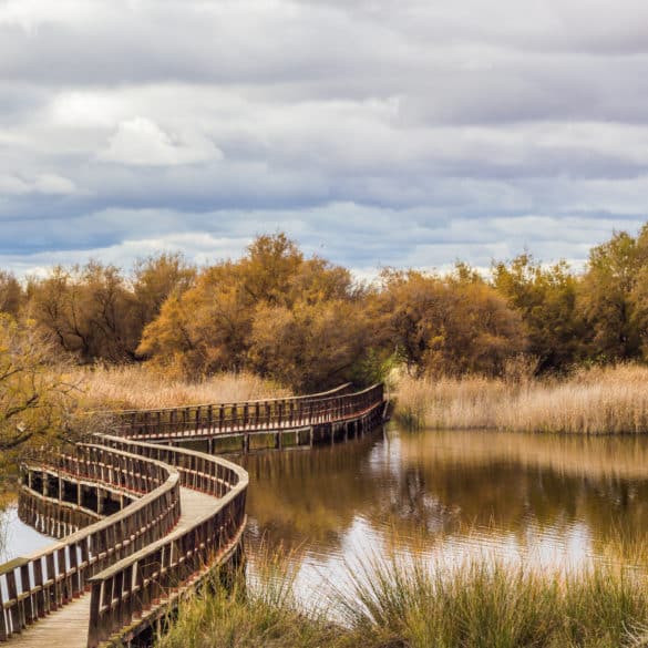 Castilla-La mancha y el turismo rural