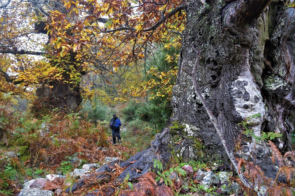 Rutas en Cáceres para exprimir el otoño