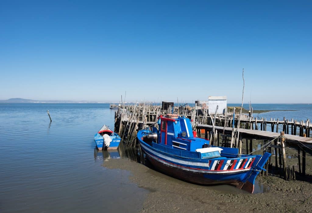 Por qué te enamorarás de Aveiro (Portugal)