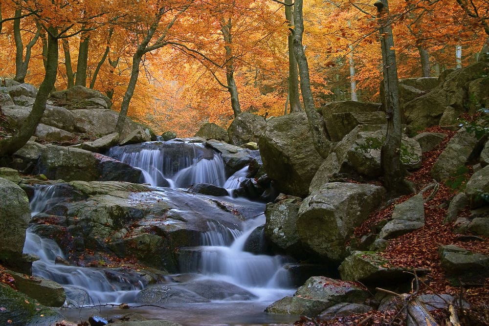 Montseny, Barcelona.