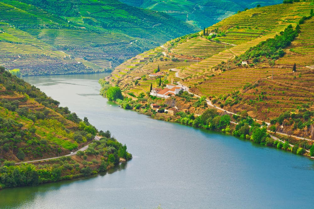 Dentro de la bodega de Portugal: el vino verde