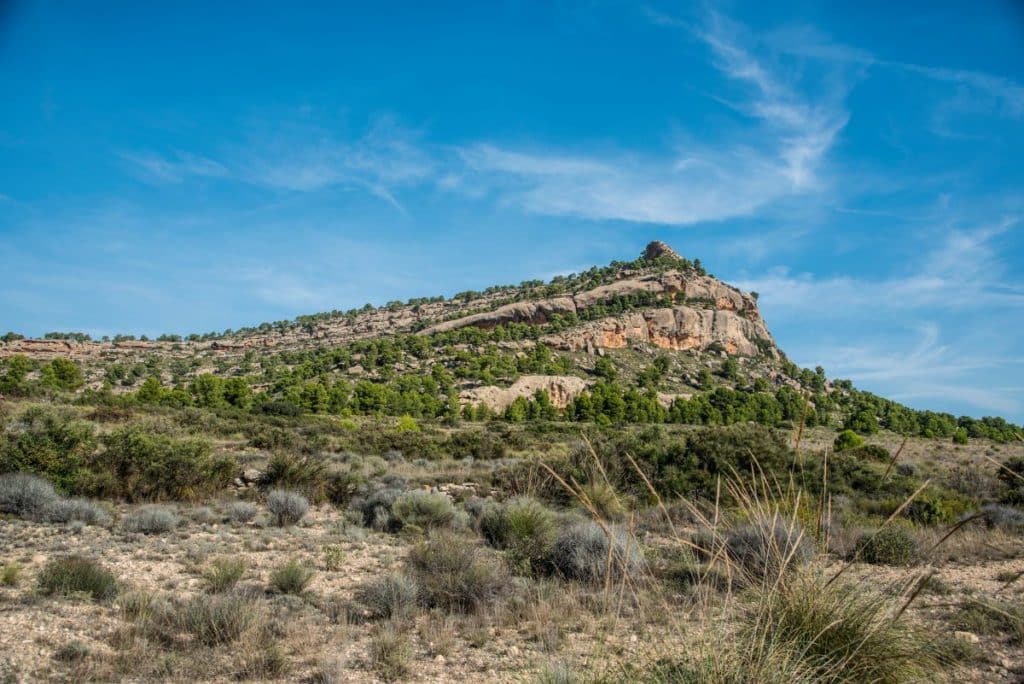 Rutas del vino en la Región de Murcia: Bullas, Yecla y Jumilla