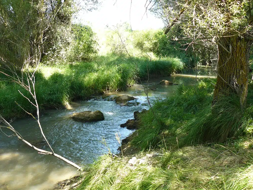 Río Arandilla en Huerta de Rey (Burgos). Por Rowanwindwhistler