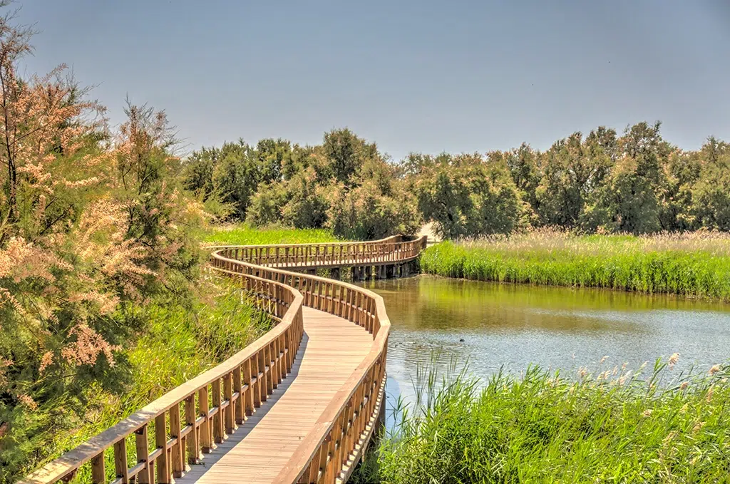 Islas, pasarelas y aves en las Tablas de Daimiel