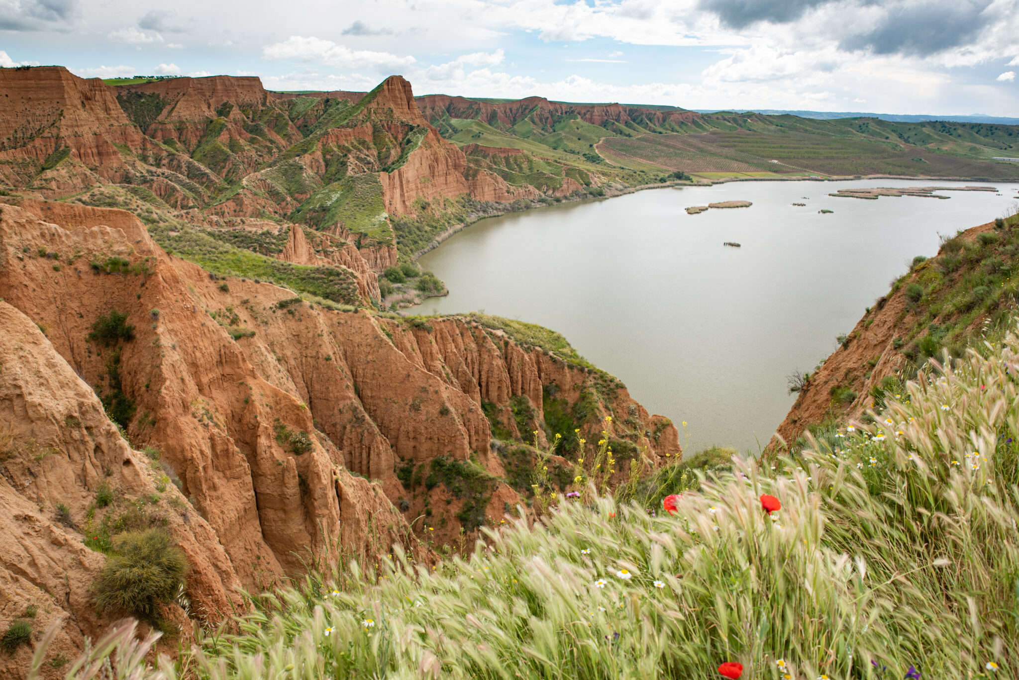 Barrancas de Burujón, Castrejón reservoir, Guadamur, Toledo.