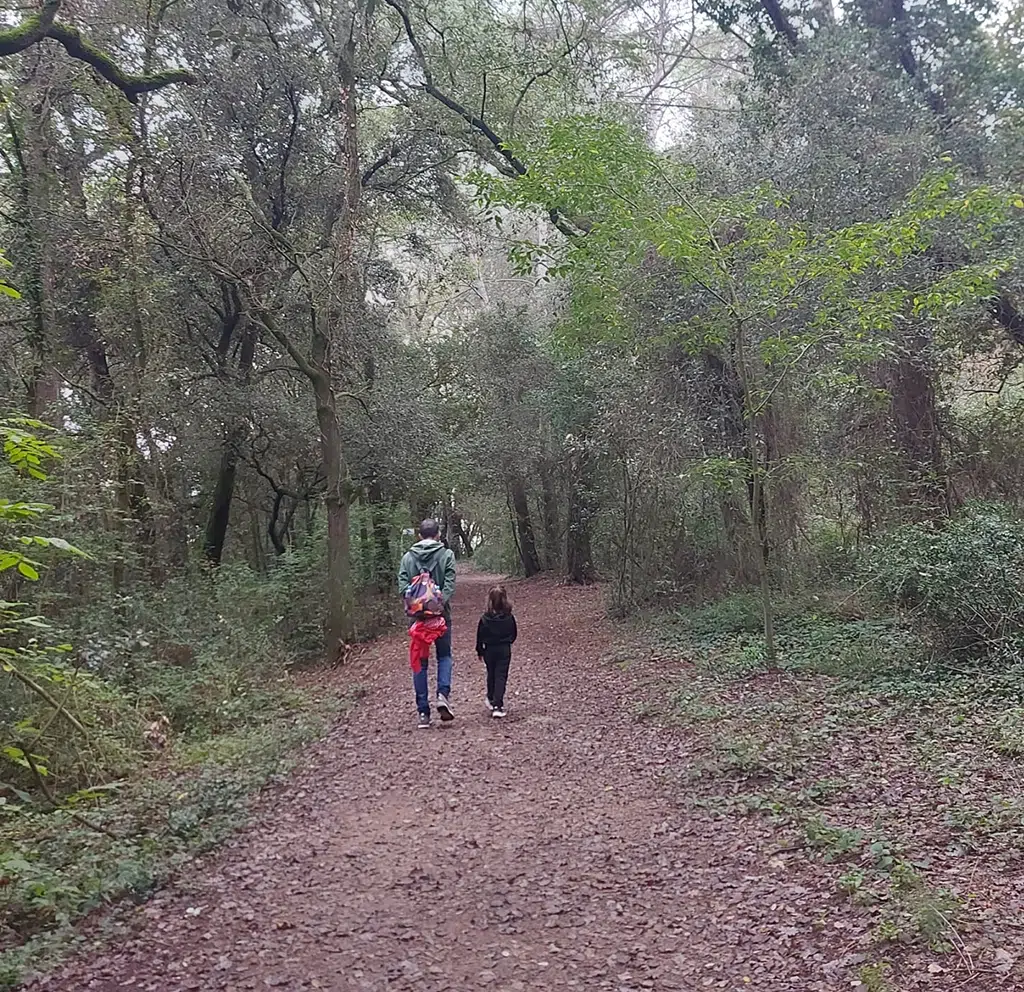 El bosque de Les Estunes, un perfecto plan familiar con una bonita ruta para niños.