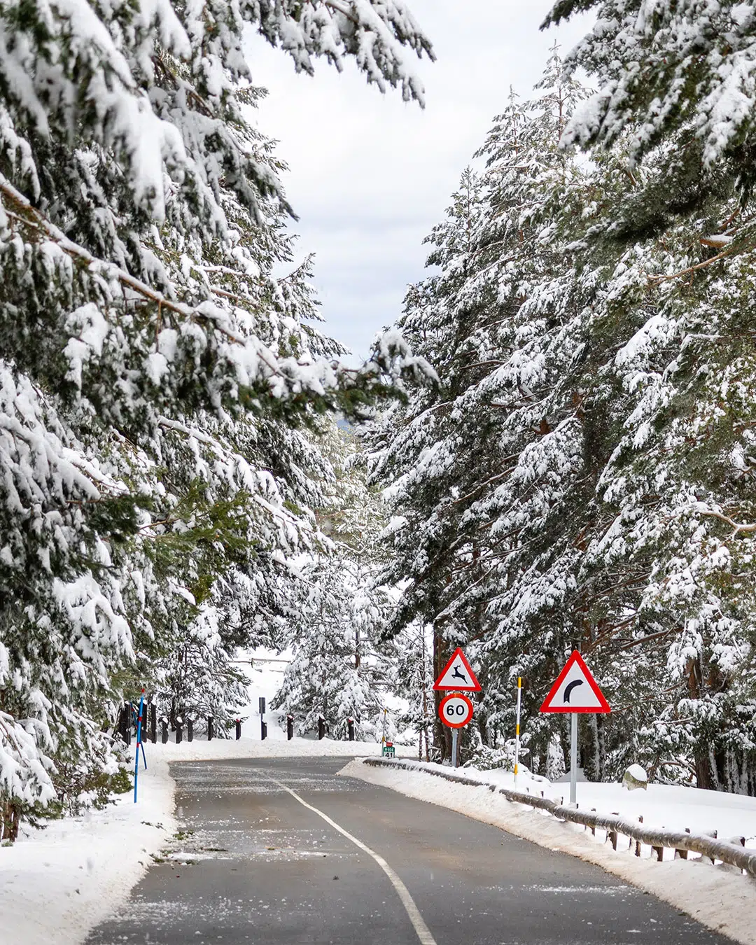 Puerto de Cotos, Navacerrada