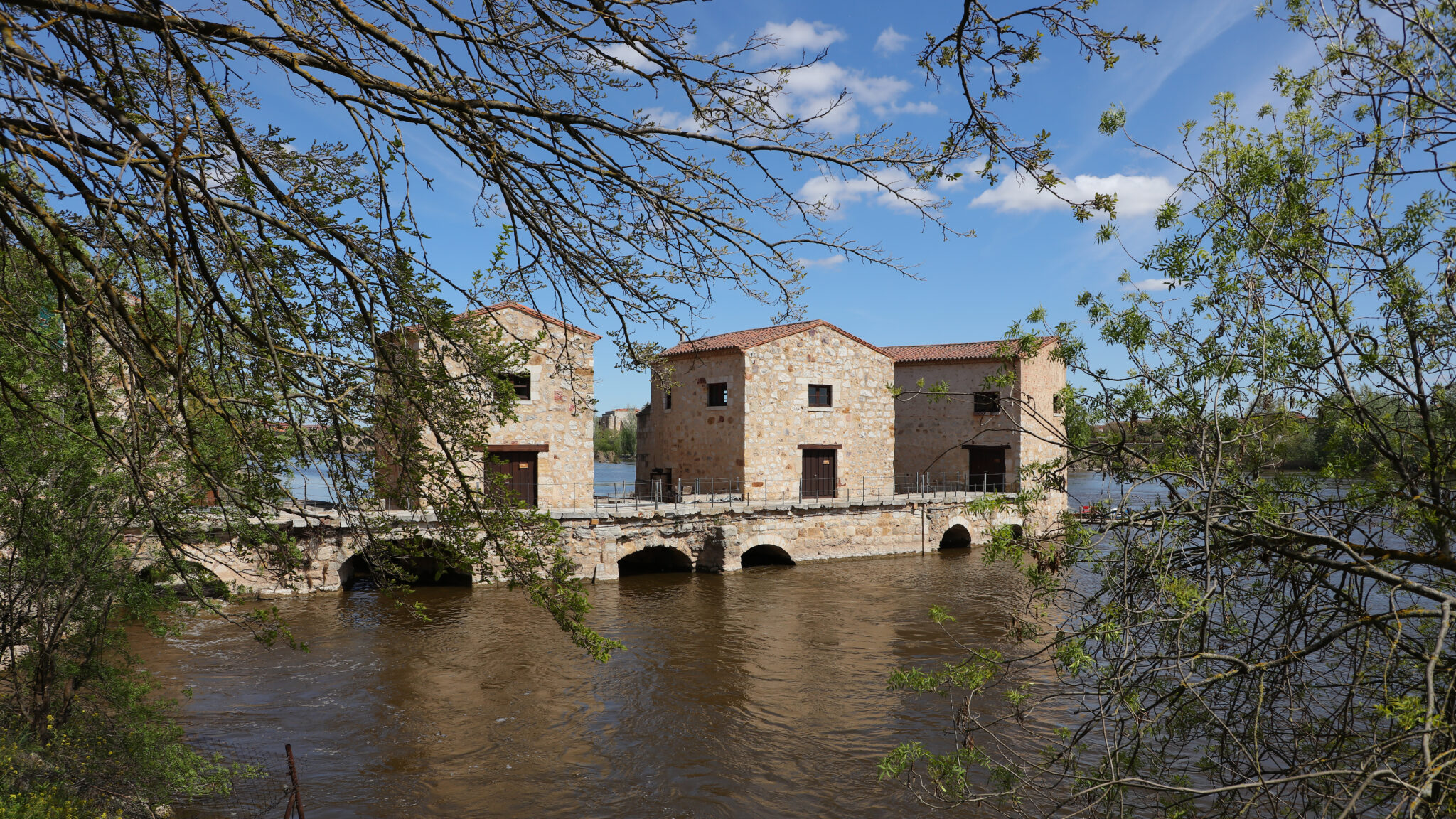 Aceñas de Olivares, la joya medieval de Zamora que permite caminar sobre las aguas