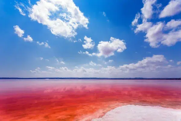Laguna rosa de Torrevieja. Por lukjonis.