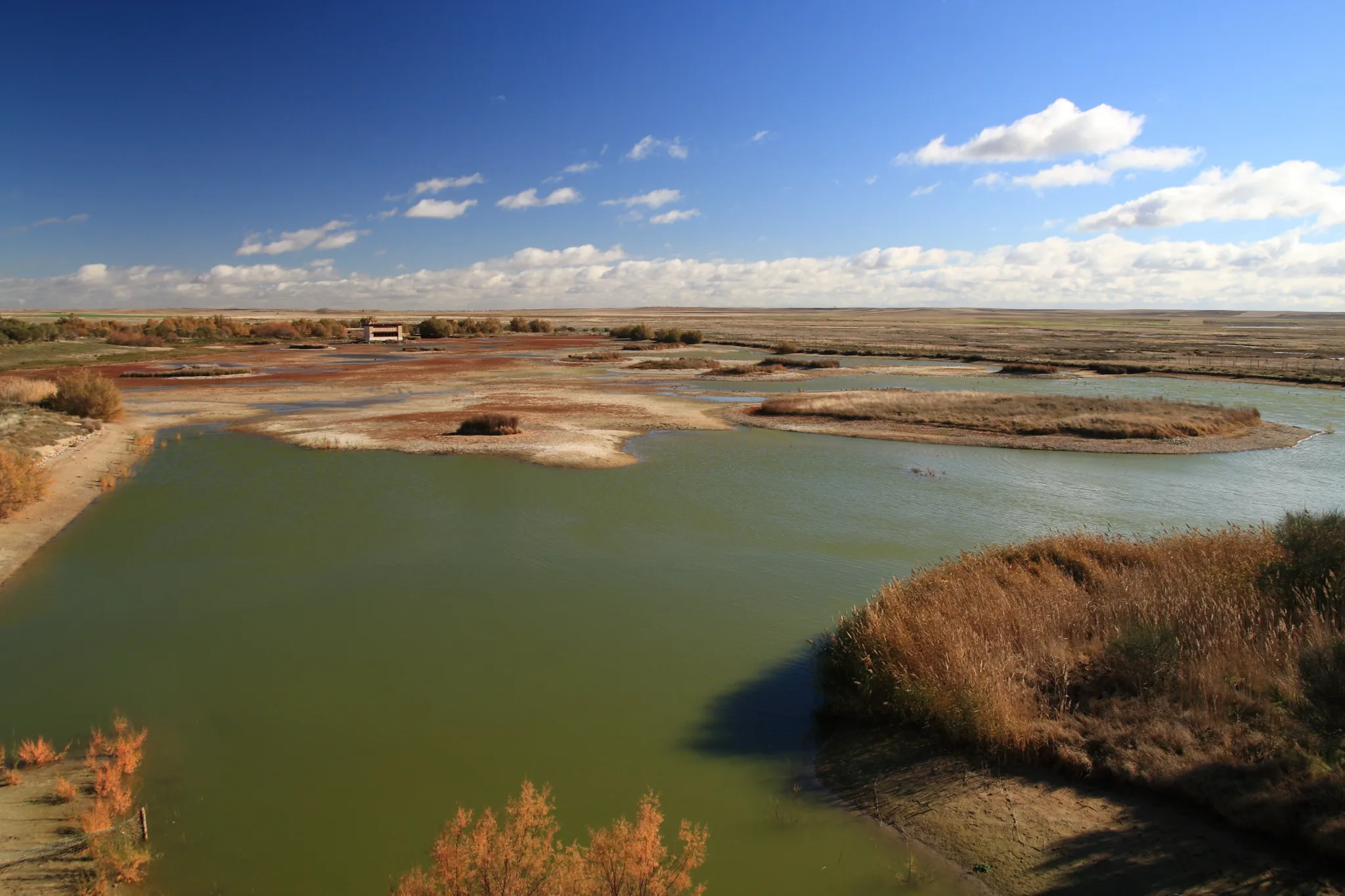 Ruta entre lagunas y las ruinas de un pueblo abandonado en el reino de la avutarda