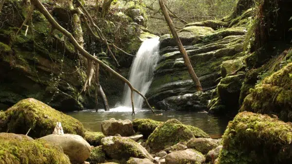Cascada de la senda de La Canal de las Tejeras. Por Camino de la senda de La Canal de las Tejeras. Por Seda de La Canal de las Tejeras. Por IVÁN VIEITO GARCÍA.