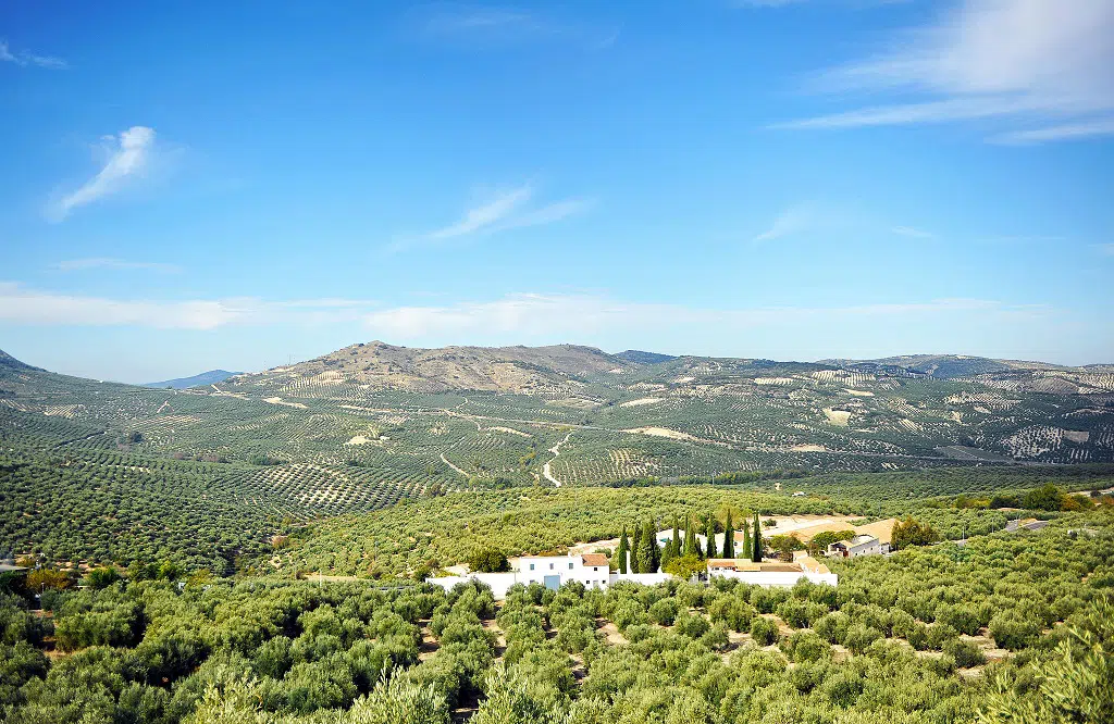 3 pueblos para seguir descubriendo Córdoba tras la Batalla de las Flores