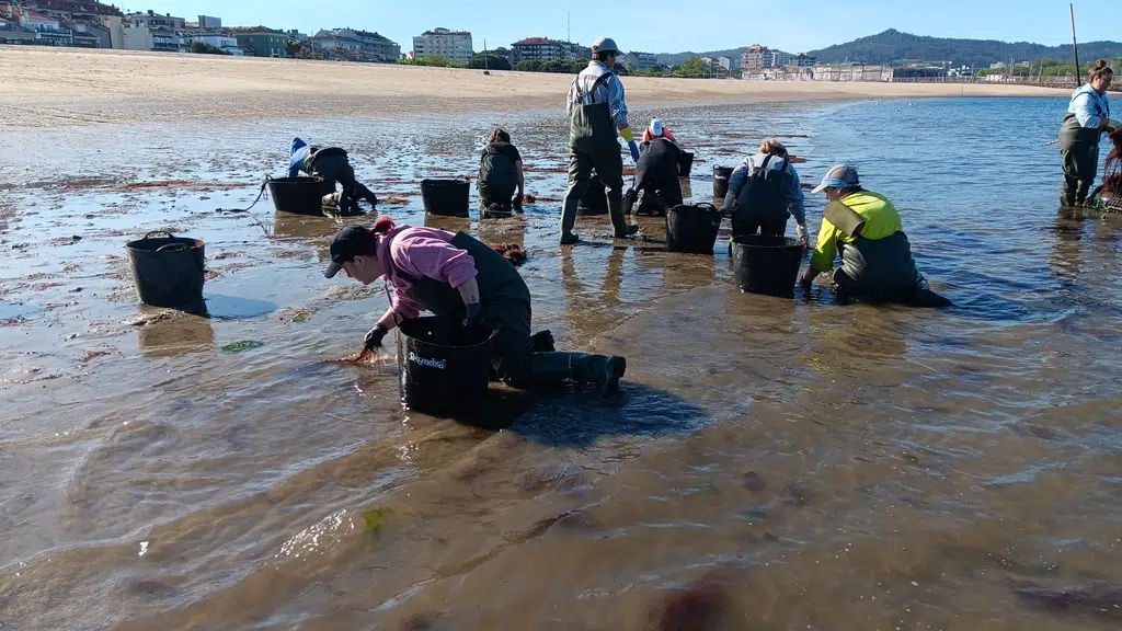 Taller para aprender a mariscar en las Rías Baixas de Galicia. Cedida por AmarCarril