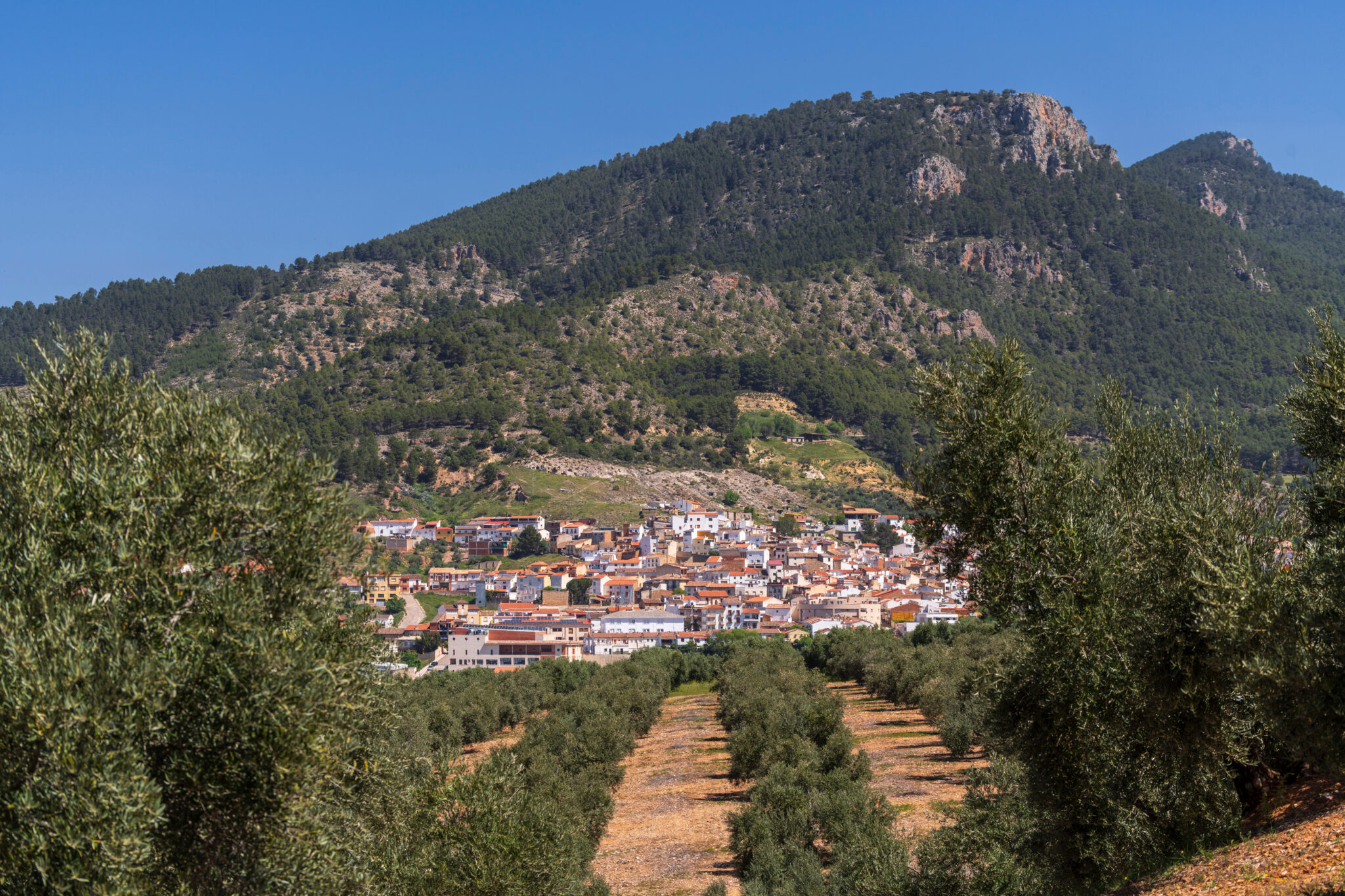 Entre olivos y con la piscina más grande de Europa, así es el pueblo donde creció David Broncano