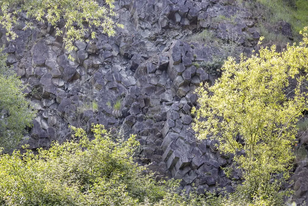 Parece Irlanda del Norte, pero es España: no sabíamos que en Vizcaya también hay una Calzada del Gigante