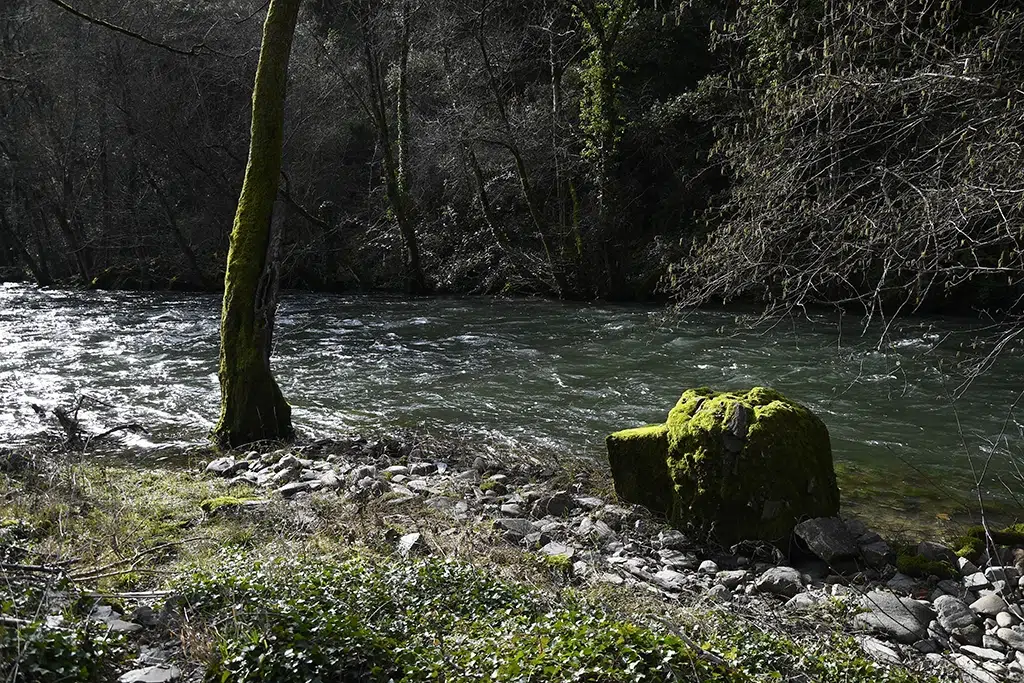 Cabalgando el río sobre troncos de madera