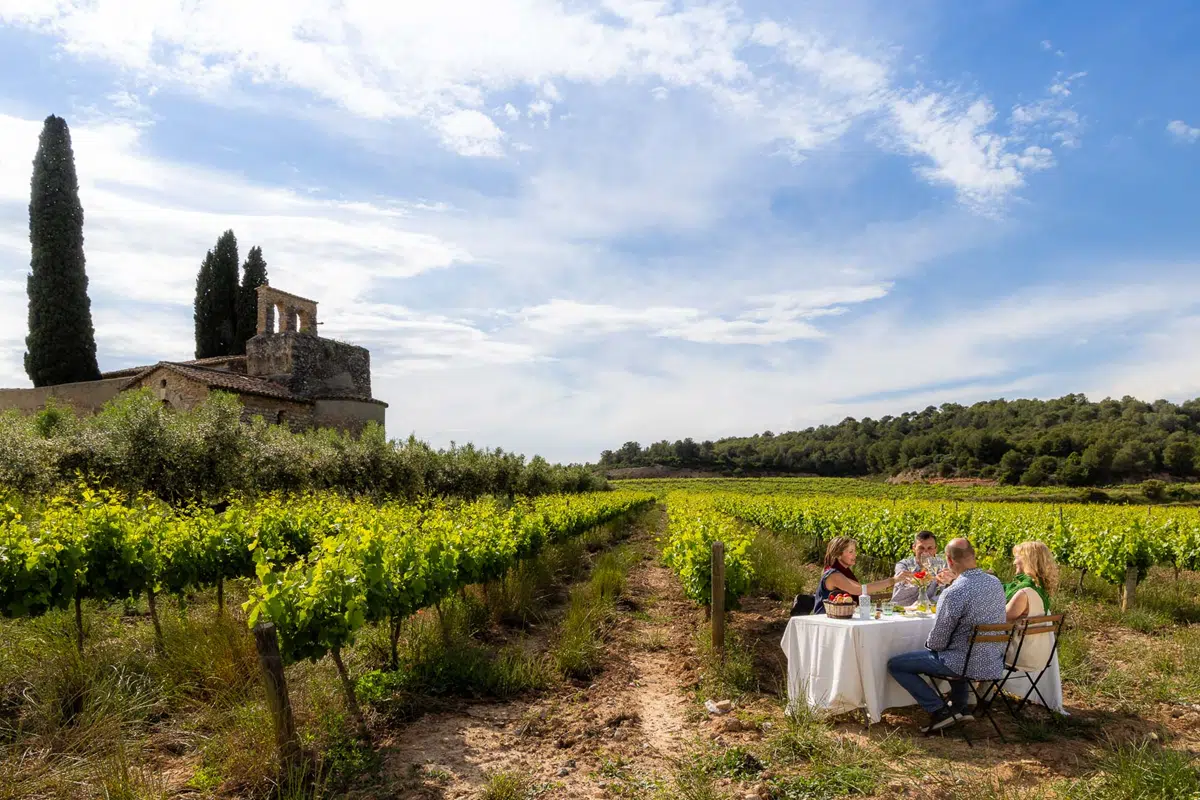 Barcelona. Celler Suamrroca. Enourismo