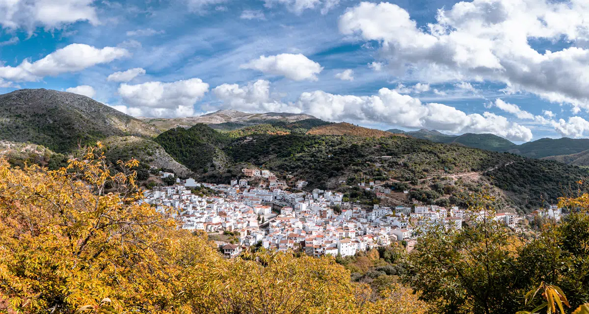 Experiencias gastronómicas: lo que tienes que probar sí o sí durante tu escapada en otoño a la Costa del Sol