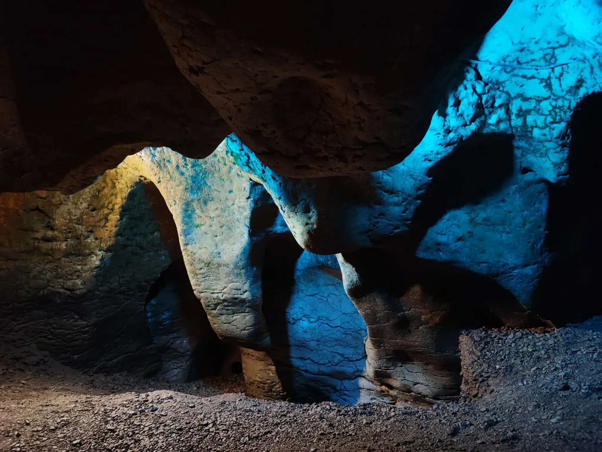 Cueva del Toll. Cortesía del Museu de Moià.